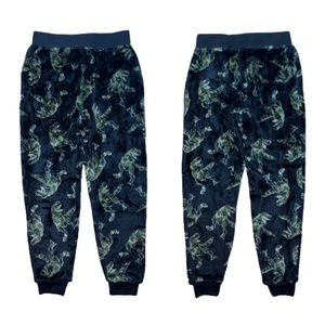 NWOT Wonder Nation Boy’s Dino Pajama Pants Size 6/7
